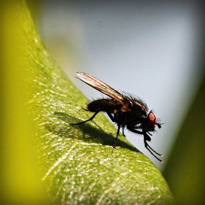 çalışma masaları